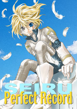 wSEIRU Perfect Record